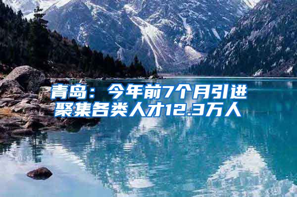 青岛：今年前7个月引进聚集各类人才12.3万人