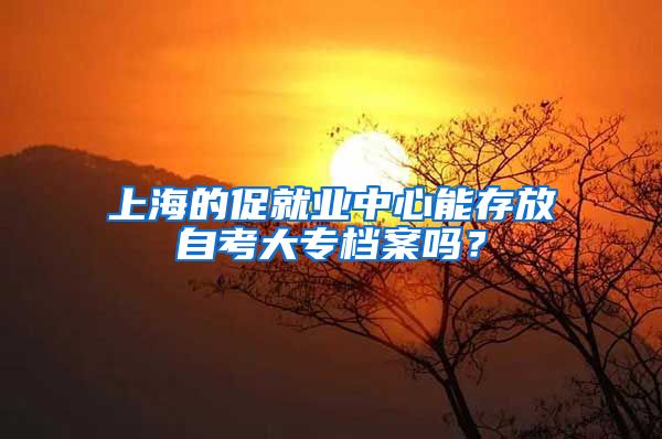 上海的促就业中心能存放自考大专档案吗？