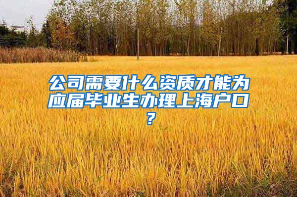 公司需要什么资质才能为应届毕业生办理上海户口？