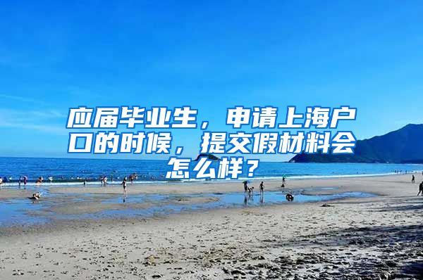 应届毕业生，申请上海户口的时候，提交假材料会怎么样？