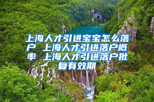 上海人才引进宝宝怎么落户 上海人才引进落户概率 上海人才引进落户批复有效期