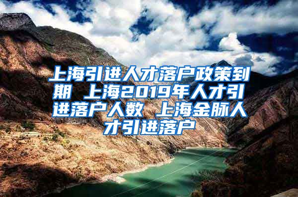 上海引进人才落户政策到期 上海2019年人才引进落户人数 上海金脉人才引进落户