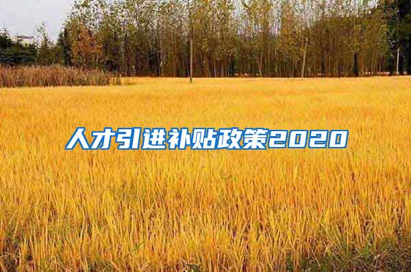 人才引进补贴政策2020