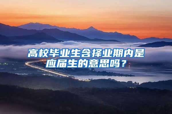 高校毕业生含择业期内是应届生的意思吗？