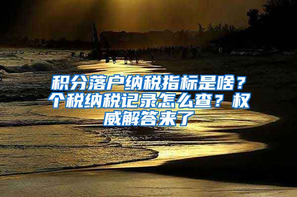 积分落户纳税指标是啥？个税纳税记录怎么查？权威解答来了