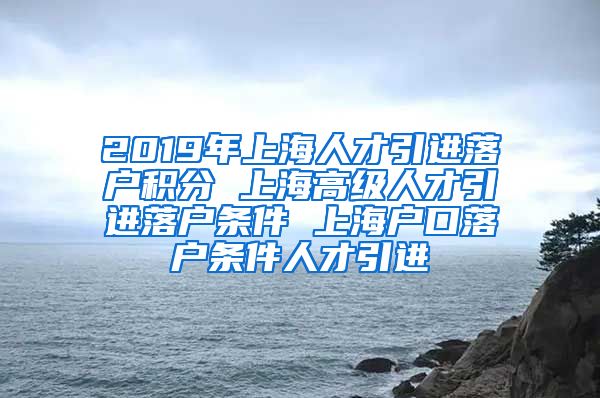 2019年上海人才引进落户积分 上海高级人才引进落户条件 上海户口落户条件人才引进