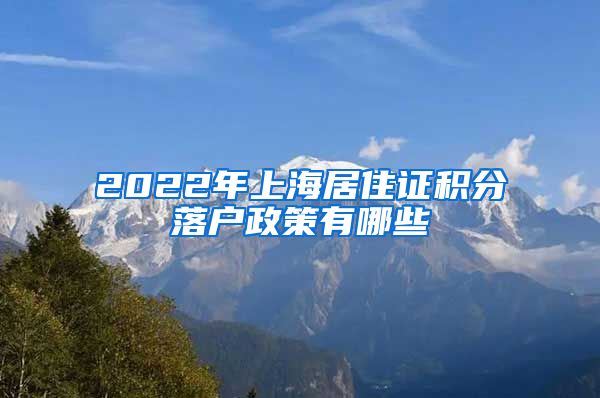 2022年上海居住证积分落户政策有哪些