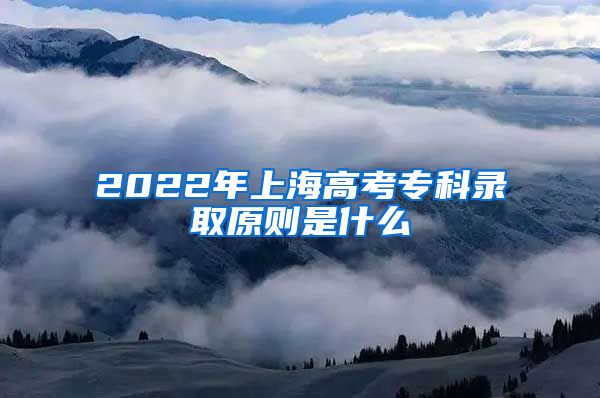 2022年上海高考专科录取原则是什么