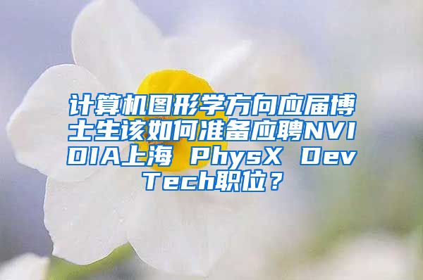 计算机图形学方向应届博士生该如何准备应聘NVIDIA上海 PhysX DevTech职位？