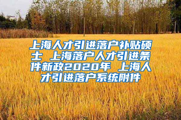 上海人才引进落户补贴硕士 上海落户人才引进条件新政2020年 上海人才引进落户系统附件