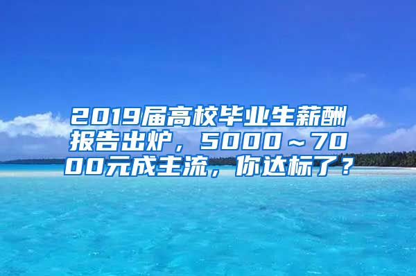 2019届高校毕业生薪酬报告出炉，5000～7000元成主流，你达标了？