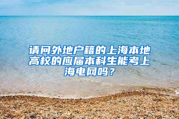 请问外地户籍的上海本地高校的应届本科生能考上海电网吗？