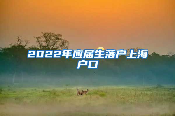 2022年应届生落户上海户口