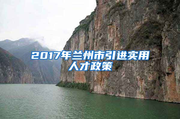 2017年兰州市引进实用人才政策