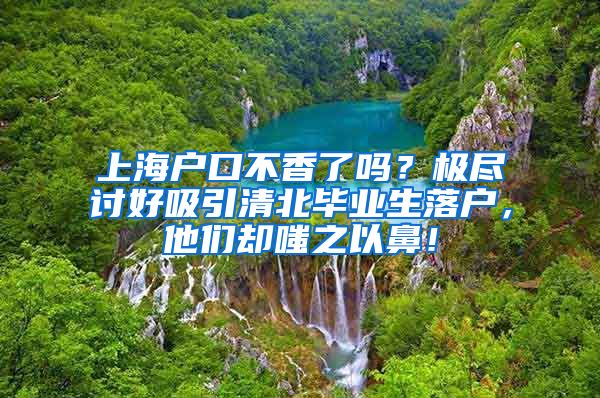 上海户口不香了吗？极尽讨好吸引清北毕业生落户，他们却嗤之以鼻！