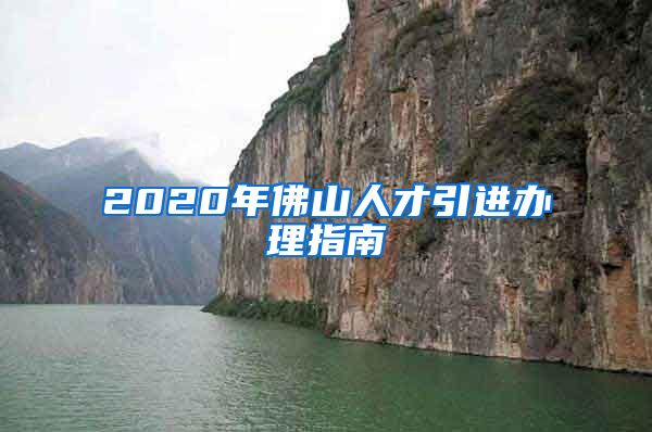 2020年佛山人才引进办理指南