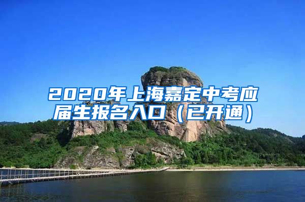 2020年上海嘉定中考应届生报名入口（已开通）