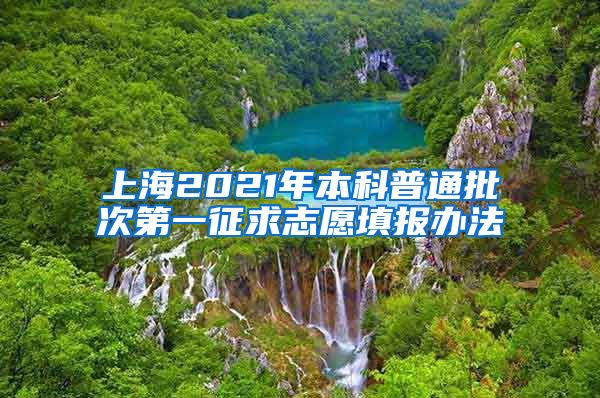 上海2021年本科普通批次第一征求志愿填报办法