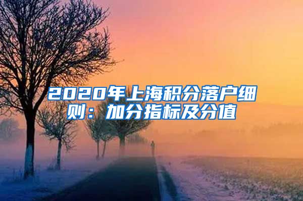 2020年上海积分落户细则：加分指标及分值