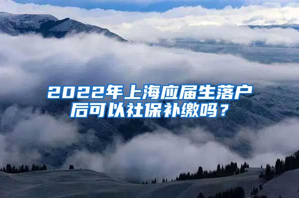 2022年上海应届生落户后可以社保补缴吗？