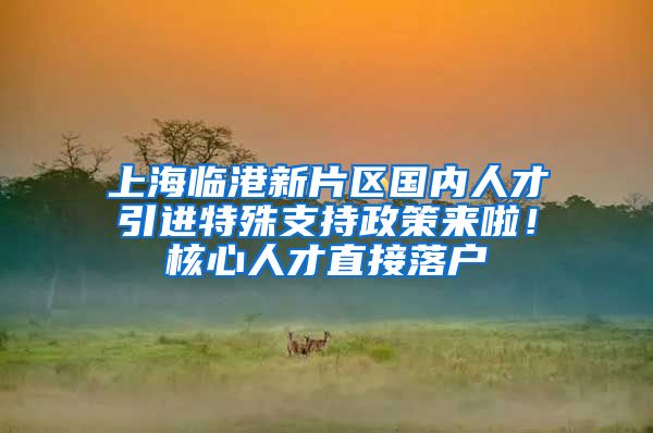 上海临港新片区国内人才引进特殊支持政策来啦！核心人才直接落户