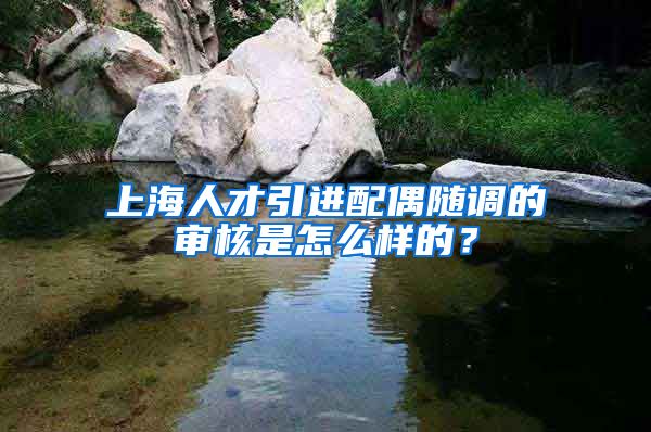 上海人才引进配偶随调的审核是怎么样的？