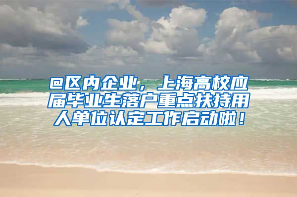 @区内企业，上海高校应届毕业生落户重点扶持用人单位认定工作启动啦！