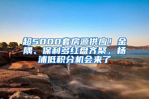 超5000套房源供应！金隅、保利多红盘齐聚，杨浦低积分机会来了