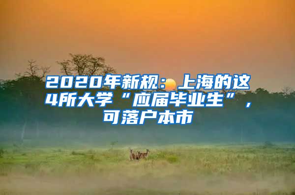 2020年新规：上海的这4所大学“应届毕业生”，可落户本市