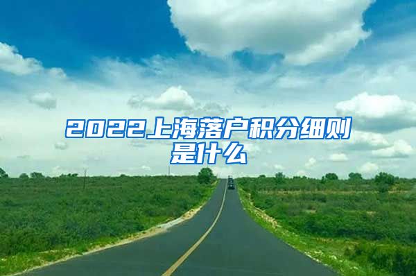 2022上海落户积分细则是什么