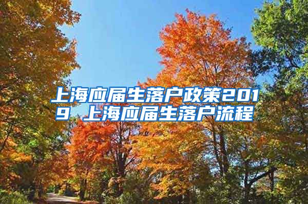 上海应届生落户政策2019 上海应届生落户流程