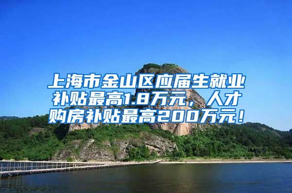 上海市金山区应届生就业补贴最高1.8万元，人才购房补贴最高200万元！