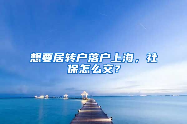 想要居转户落户上海，社保怎么交？