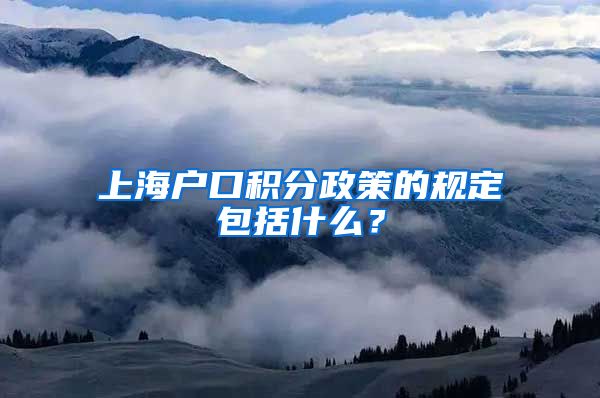 上海户口积分政策的规定包括什么？