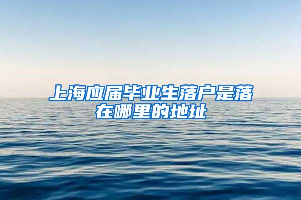 上海应届毕业生落户是落在哪里的地址