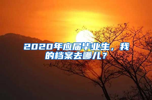 2020年应届毕业生，我的档案去哪儿？