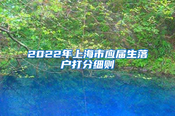 2022年上海市应届生落户打分细则