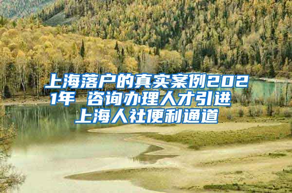 上海落户的真实案例2021年 咨询办理人才引进 上海人社便利通道