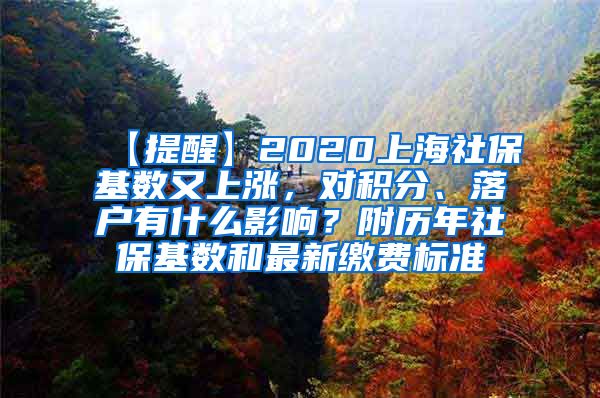 【提醒】2020上海社保基数又上涨，对积分、落户有什么影响？附历年社保基数和最新缴费标准