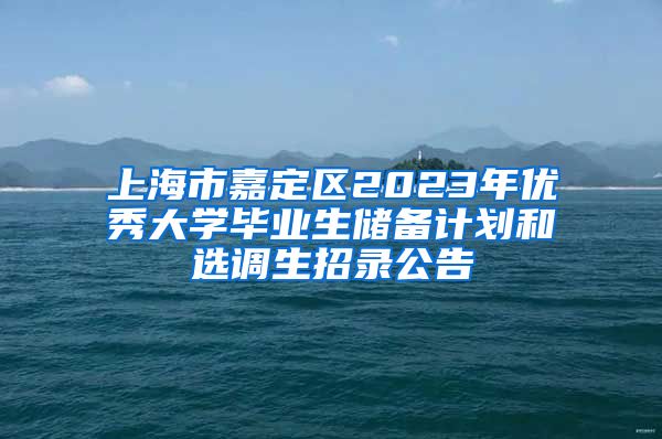 上海市嘉定区2023年优秀大学毕业生储备计划和选调生招录公告