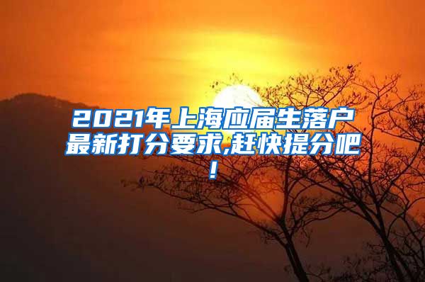 2021年上海应届生落户最新打分要求,赶快提分吧!