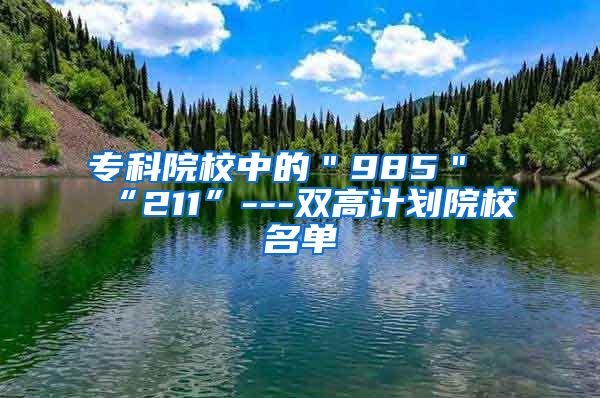 专科院校中的＂985＂“211”---双高计划院校名单