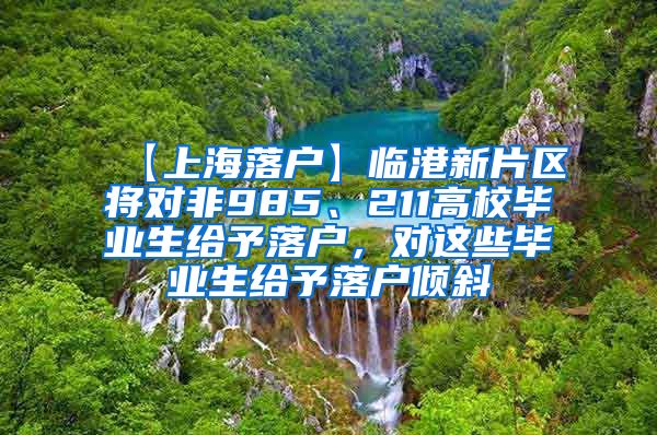 【上海落户】临港新片区将对非985、211高校毕业生给予落户，对这些毕业生给予落户倾斜