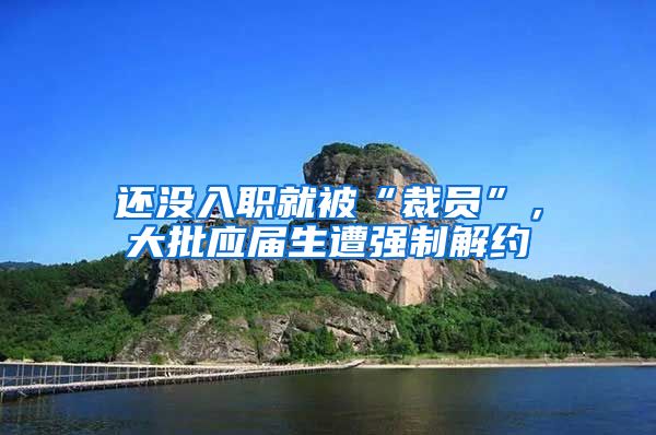 还没入职就被“裁员”，大批应届生遭强制解约