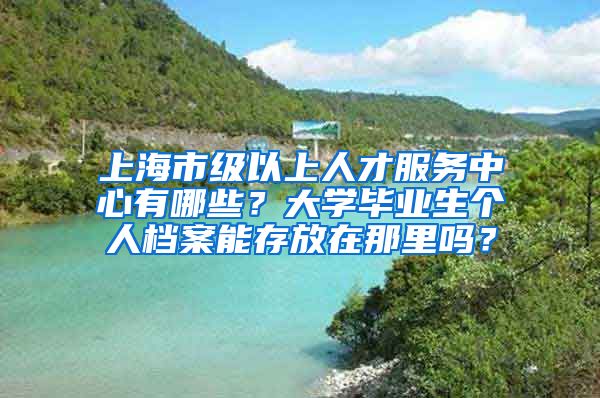 上海市级以上人才服务中心有哪些？大学毕业生个人档案能存放在那里吗？