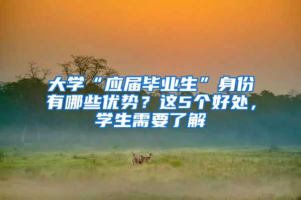 大学“应届毕业生”身份有哪些优势？这5个好处，学生需要了解