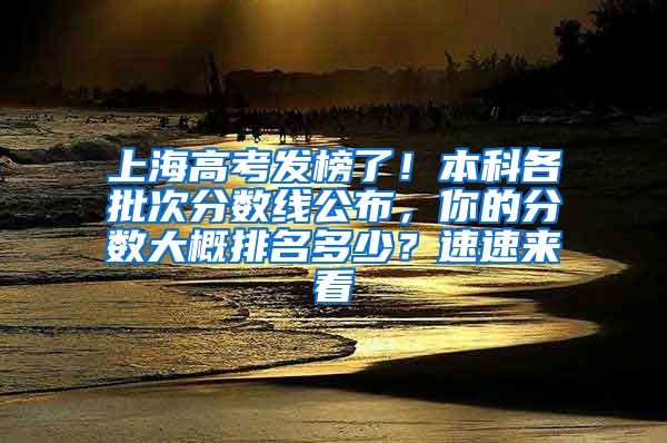 上海高考发榜了！本科各批次分数线公布，你的分数大概排名多少？速速来看→