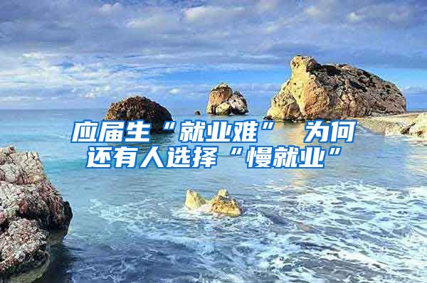 应届生“就业难” 为何还有人选择“慢就业”