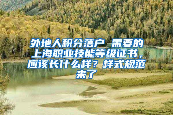 外地人积分落户 需要的上海职业技能等级证书，应该长什么样？样式规范来了→