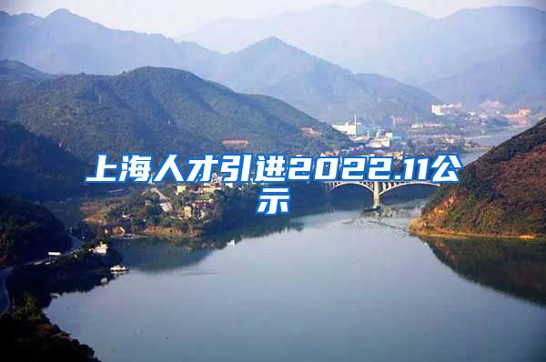 上海人才引进2022.11公示